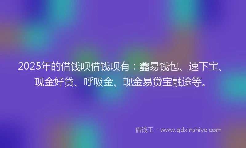 2025年的借钱呗借钱呗有：鑫易钱包、速下宝、现金好贷、呼吸金、现金易贷宝融途等。
