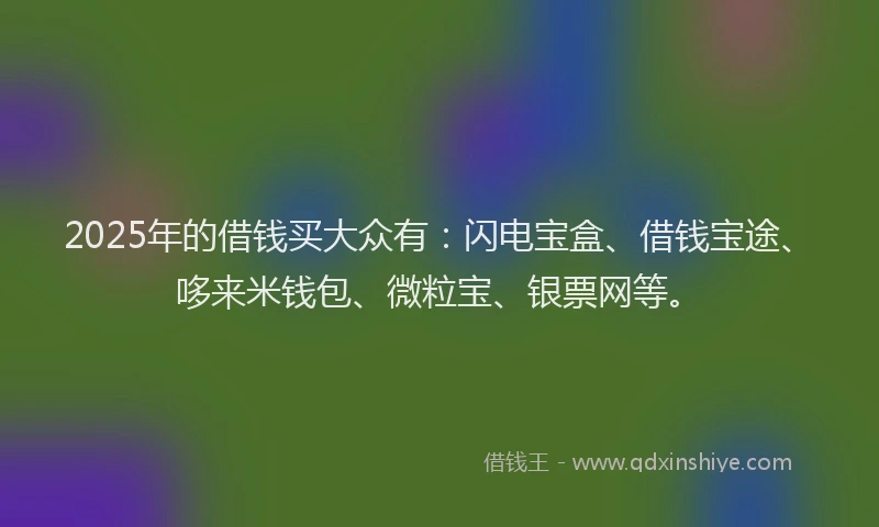 2025年的借钱买大众有：闪电宝盒、借钱宝途、哆来米钱包、微粒宝、银票网等。