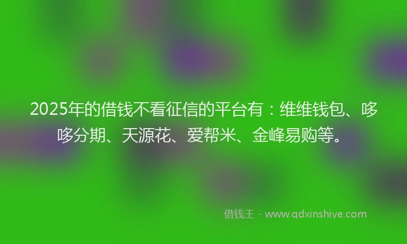 2025年的借钱不看征信的平台有：维维钱包、哆哆分期、天源花、爱帮米、金峰易购等。