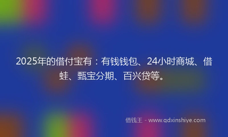 2025年的借付宝有：有钱钱包、24小时商城、借蛙、甄宝分期、百兴贷等。