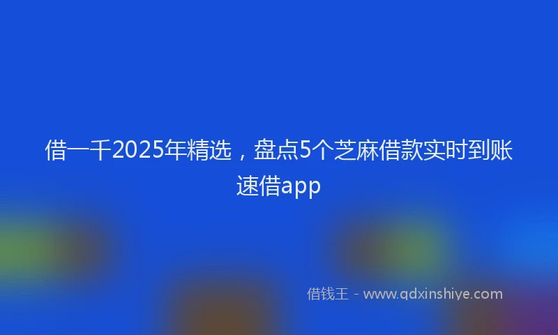 借一千2025年精选，盘点5个芝麻借款实时到账速借app