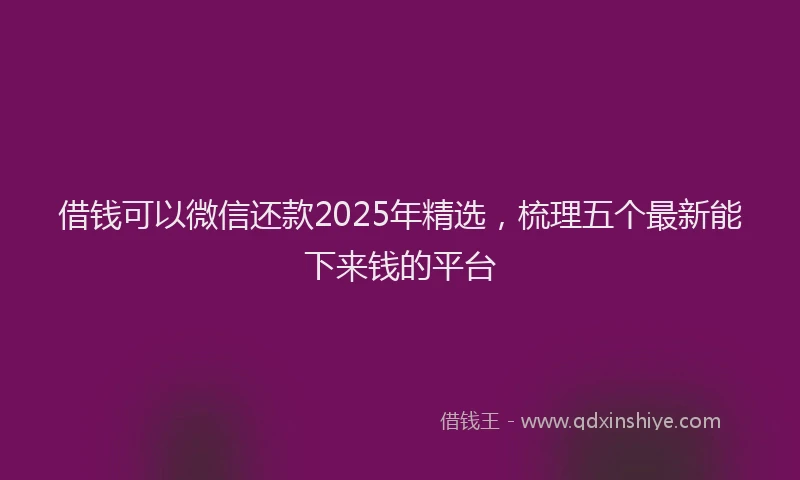 借钱可以微信还款2025年精选,梳理五个最新能下来钱的平台