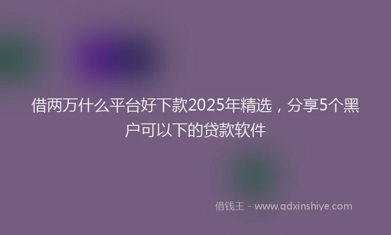 借两万什么平台好下款2025年精选，分享5个黑户可以下的贷款软件