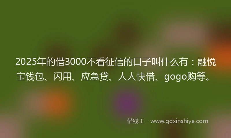 2025年的借3000不看征信的口子叫什么有：融悦宝钱包、闪用、应急贷、人人快借、gogo购等。