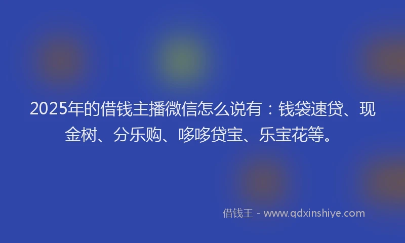 2025年的借钱主播微信怎么说有：钱袋速贷、现金树、分乐购、哆哆贷宝、乐宝花等。