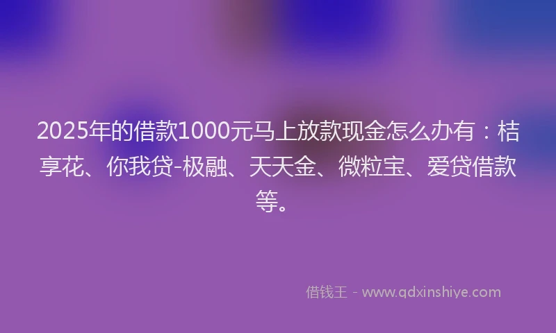 2025年的借款1000元马上放款现金怎么办有：桔享花、你我贷-极融、天天金、微粒宝、爱贷借款等。