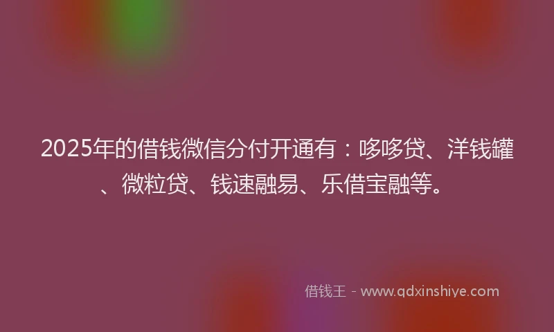 2025年的借钱微信分付开通有：哆哆贷、洋钱罐、微粒贷、钱速融易、乐借宝融等。