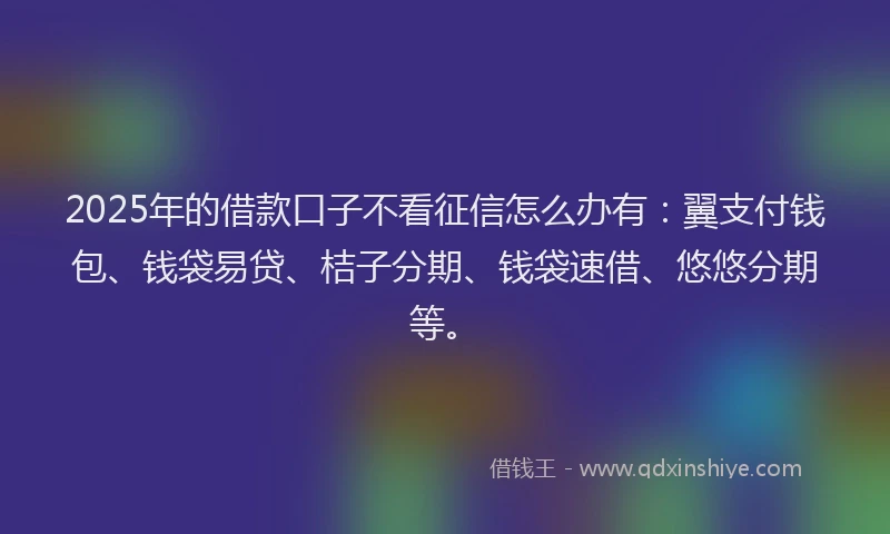 2025年的借款口子不看征信怎么办有:翼支付钱包、钱袋易贷、桔子分期、钱袋速借、悠悠分期等。