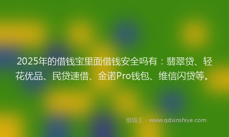 2025年的借钱宝里面借钱安全吗有：翡翠贷、轻花优品、民贷速借、金诺Pro钱包、维信闪贷等。