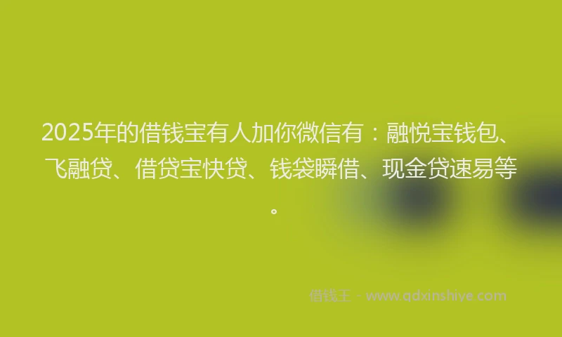 2025年的借钱宝有人加你微信有：融悦宝钱包、飞融贷、借贷宝快贷、钱袋瞬借、现金贷速易等。