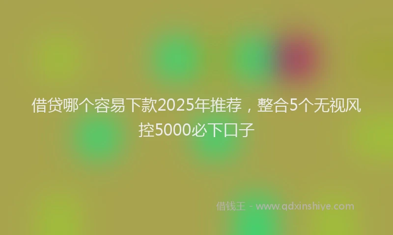 借贷哪个容易下款2025年推荐,整合5个无视风控5000必下口子