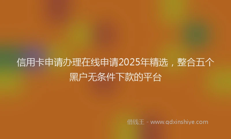 信用卡申请办理在线申请2025年精选，整合五个黑户无条件下款的平台
