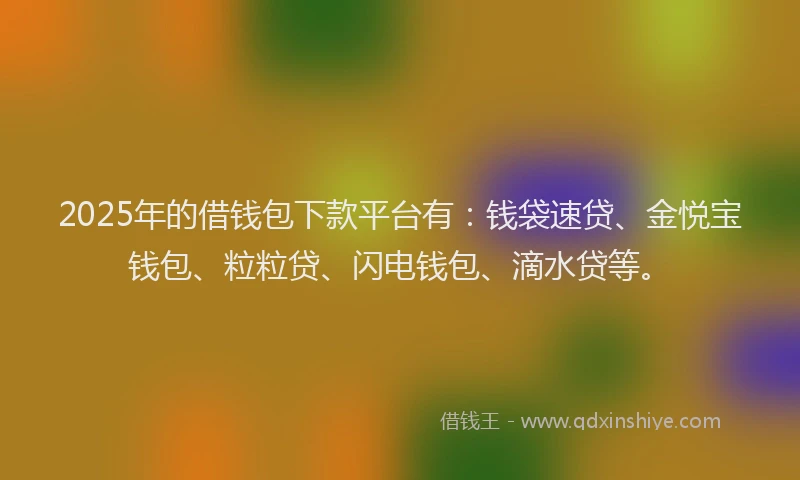 2025年的借钱包下款平台有：钱袋速贷、金悦宝钱包、粒粒贷、闪电钱包、滴水贷等。