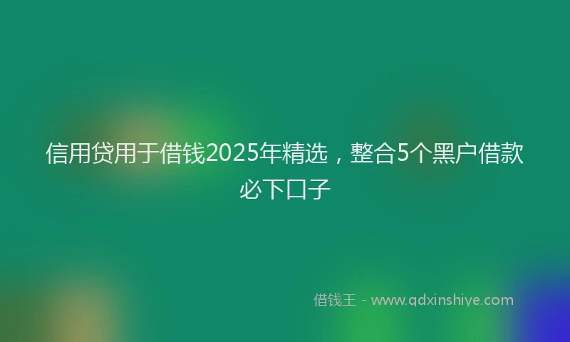 信用贷用于借钱2025年精选，整合5个黑户借款必下口子