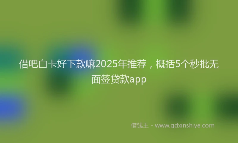 借吧白卡好下款嘛2025年推荐，概括5个秒批无面签贷款app