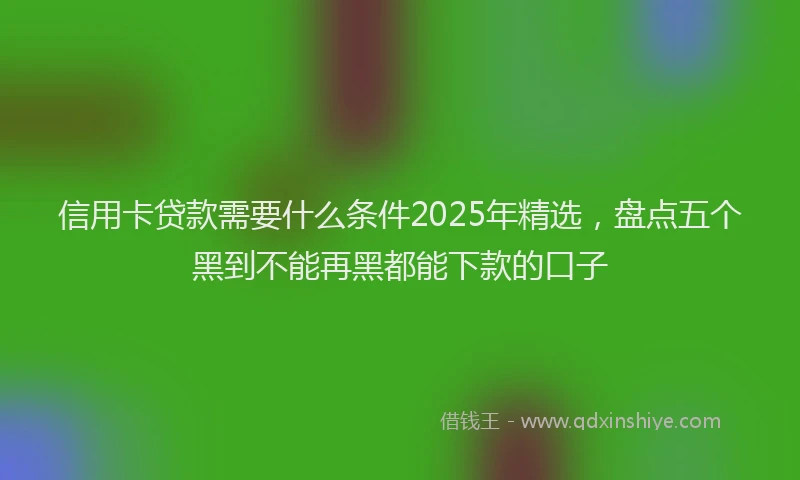 信用卡贷款需要什么条件2025年精选，盘点五个黑到不能再黑都能下款的口子