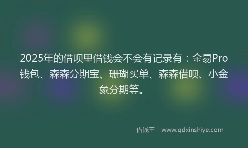 2025年的借呗里借钱会不会有记录有：金易Pro钱包、森森分期宝、珊瑚买单、森森借呗、小金象分期等。