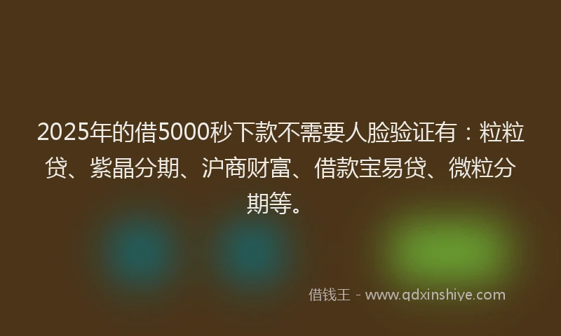 2025年的借5000秒下款不需要人脸验证有：粒粒贷、紫晶分期、沪商财富、借款宝易贷、微粒分期等。