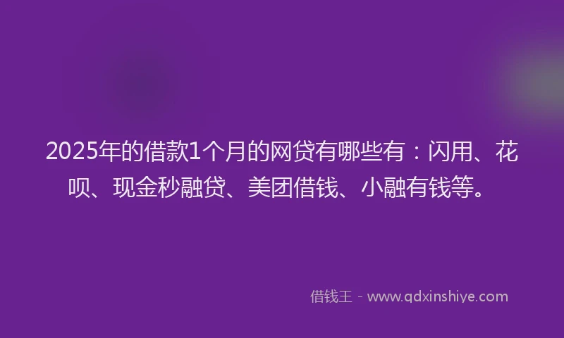 2025年的借款1个月的网贷有哪些有：闪用、花呗、现金秒融贷、美团借钱、小融有钱等。