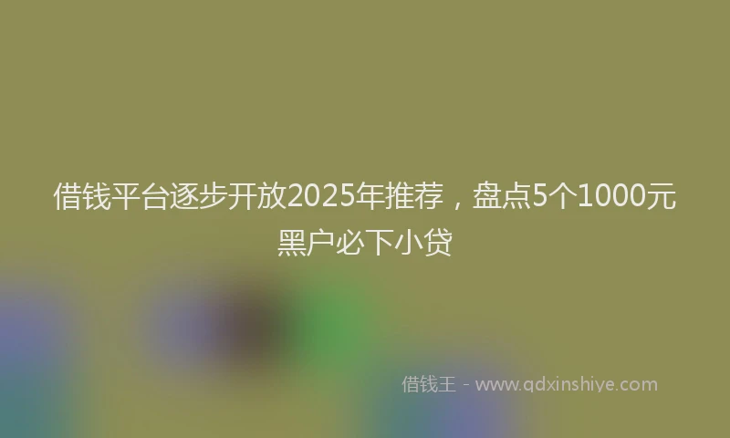 借钱平台逐步开放2025年推荐，盘点5个1000元黑户必下小贷