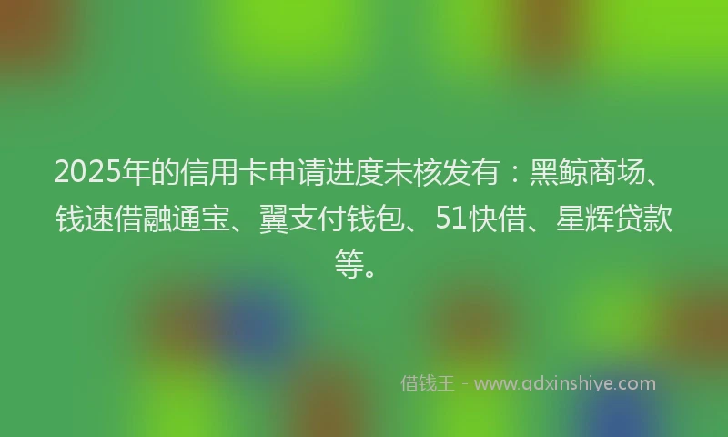 2025年的信用卡申请进度未核发有：黑鲸商场、钱速借融通宝、翼支付钱包、51快借、星辉贷款等。