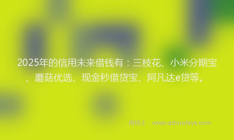 2025年的信用未来借钱有:三枝花、小米分期宝、蘑菇优选、现金秒借贷宝、阿凡达e贷等。