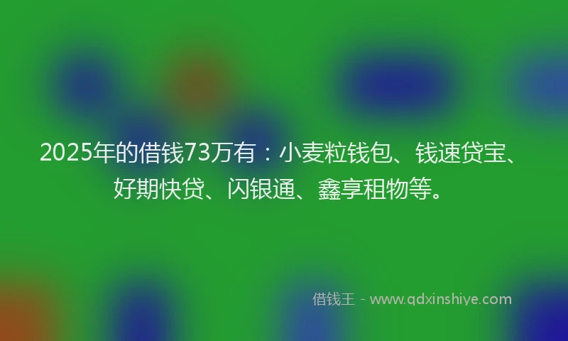 2025年的借钱73万有：小麦粒钱包、钱速贷宝、好期快贷、闪银通、鑫享租物等。