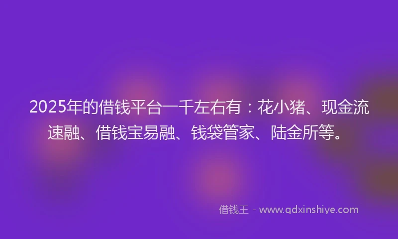 2025年的借钱平台一千左右有：花小猪、现金流速融、借钱宝易融、钱袋管家、陆金所等。