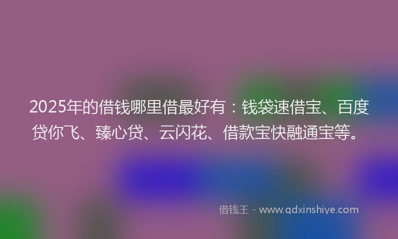 2025年的借钱哪里借最好有：钱袋速借宝、百度贷你飞、臻心贷、云闪花、借款宝快融通宝等。