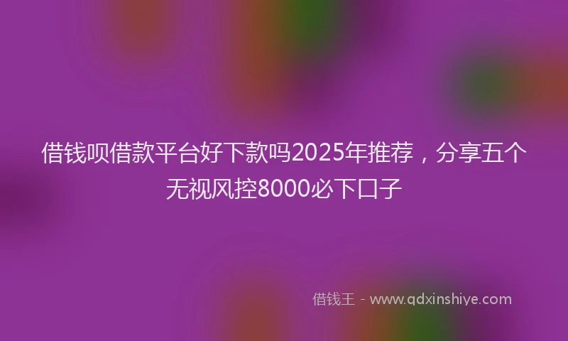 借钱呗借款平台好下款吗2025年推荐，分享五个无视风控8000必下口子