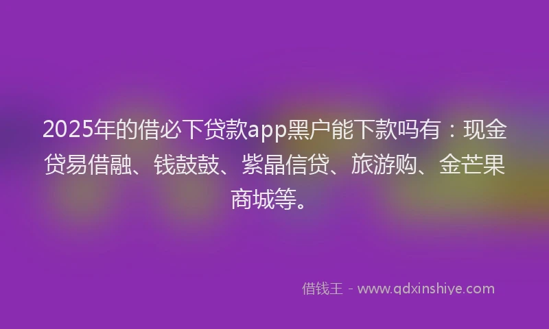 2025年的借必下贷款app黑户能下款吗有：现金贷易借融、钱鼓鼓、紫晶信贷、旅游购、金芒果商城等。
