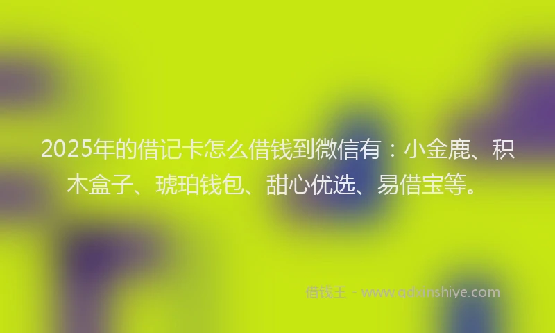 2025年的借记卡怎么借钱到微信有：小金鹿、积木盒子、琥珀钱包、甜心优选、易借宝等。