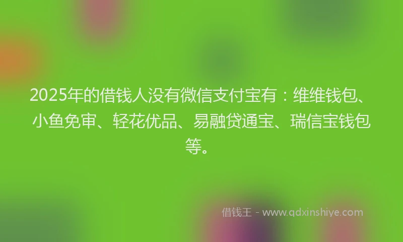 2025年的借钱人没有微信支付宝有：维维钱包、小鱼免审、轻花优品、易融贷通宝、瑞信宝钱包等。