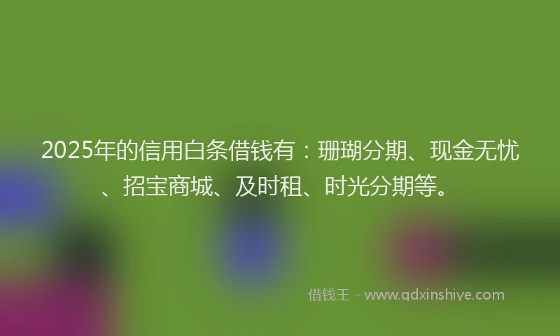 2025年的信用白条借钱有：珊瑚分期、现金无忧、招宝商城、及时租、时光分期等。