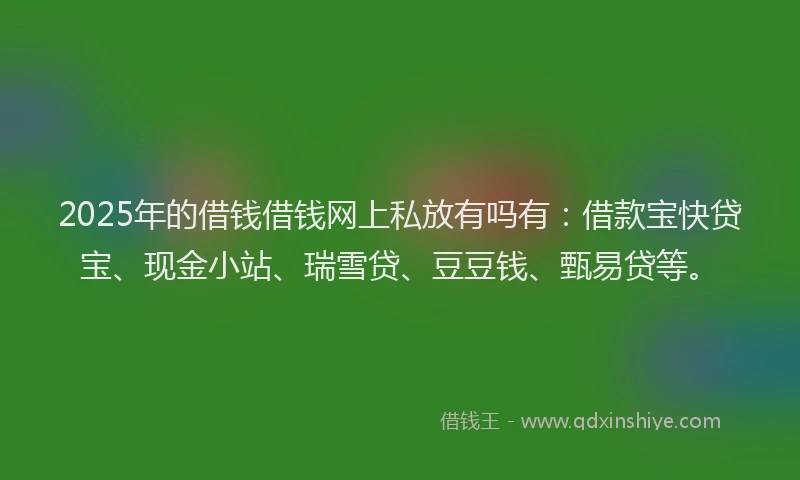 2025年的借钱借钱网上私放有吗有：借款宝快贷宝、现金小站、瑞雪贷、豆豆钱、甄易贷等。
