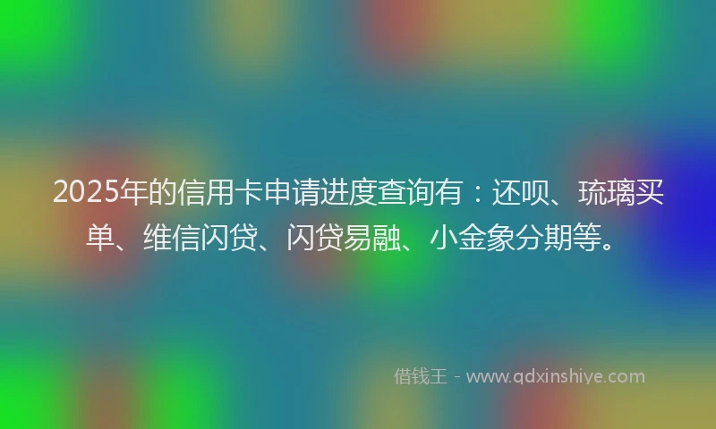 2025年的信用卡申请进度查询有：还呗、琉璃买单、维信闪贷、闪贷易融、小金象分期等。