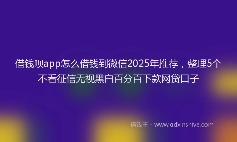 借钱呗app怎么借钱到微信2025年推荐，整理5个不看征信无视黑白百分百下款网贷口子