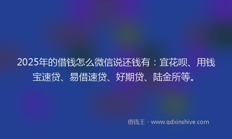 2025年的借钱怎么微信说还钱有：宜花呗、用钱宝速贷、易借速贷、好期贷、陆金所等。