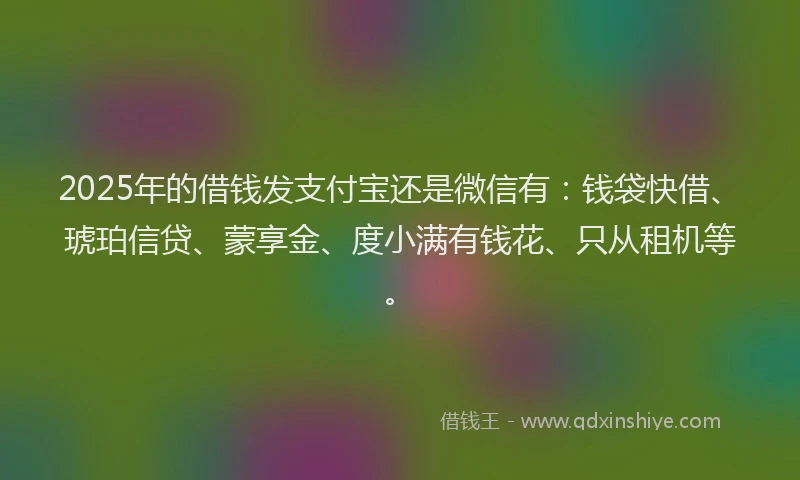 2025年的借钱发支付宝还是微信有：钱袋快借、琥珀信贷、蒙享金、度小满有钱花、只从租机等。