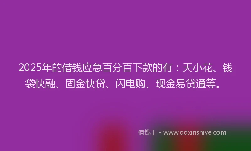 2025年的借钱应急百分百下款的有：天小花、钱袋快融、固金快贷、闪电购、现金易贷通等。