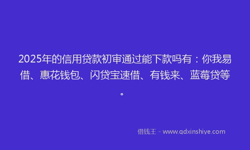 2025年的信用贷款初审通过能下款吗有：你我易借、惠花钱包、闪贷宝速借、有钱来、蓝莓贷等。