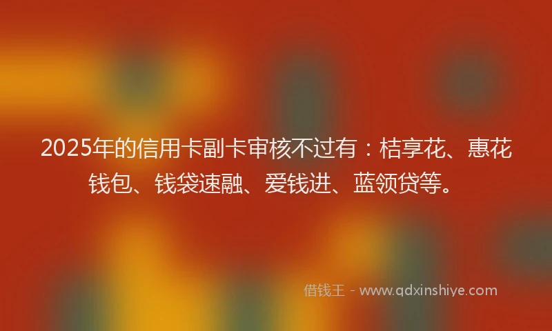 2025年的信用卡副卡审核不过有：桔享花、惠花钱包、钱袋速融、爱钱进、蓝领贷等。