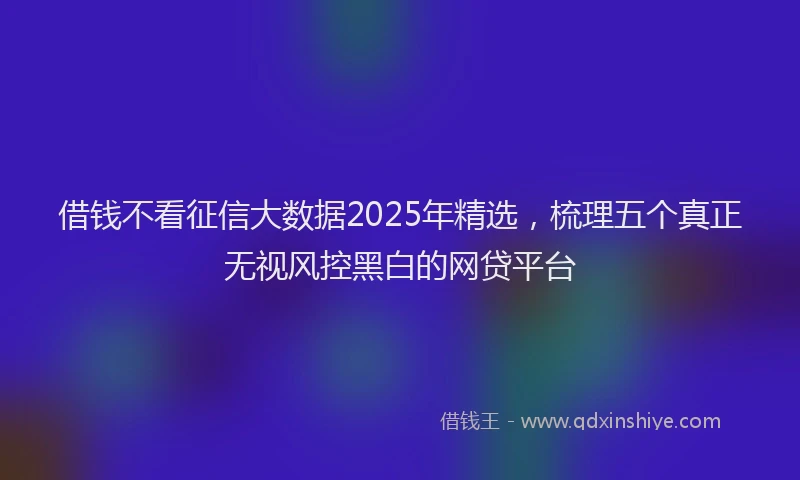 借钱不看征信大数据2025年精选，梳理五个真正无视风控黑白的网贷平台