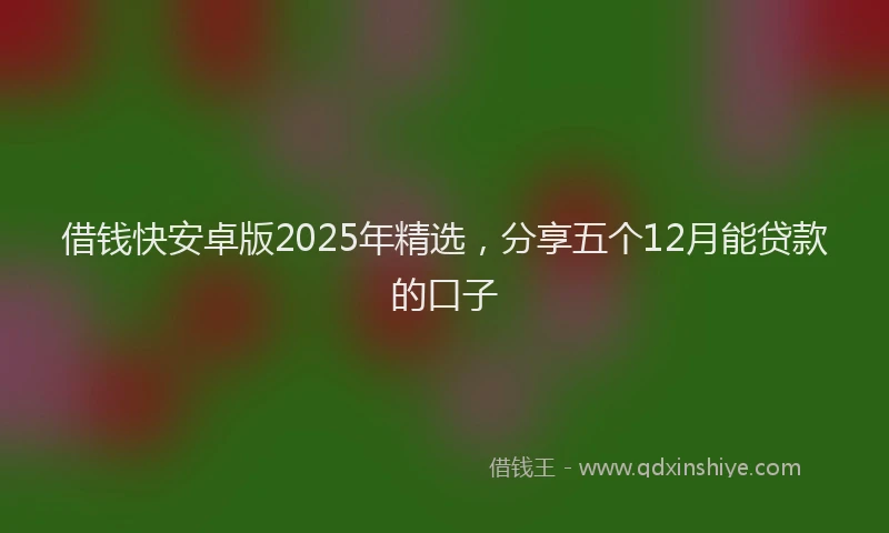 借钱快安卓版2025年精选，分享五个12月能贷款的口子