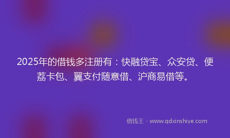 2025年的借钱多注册有：快融贷宝、众安贷、便荔卡包、翼支付随意借、沪商易借等。