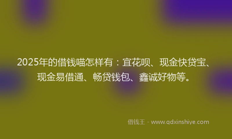 2025年的借钱喵怎样有：宜花呗、现金快贷宝、现金易借通、畅贷钱包、鑫诚好物等。