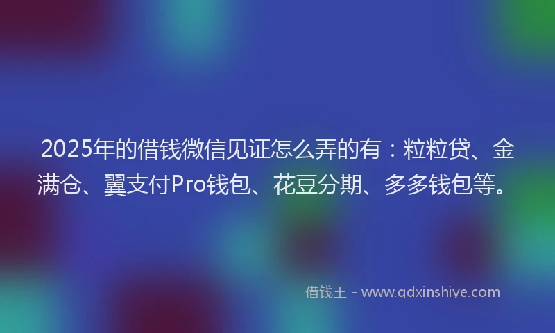 2025年的借钱微信见证怎么弄的有：粒粒贷、金满仓、翼支付Pro钱包、花豆分期、多多钱包等。