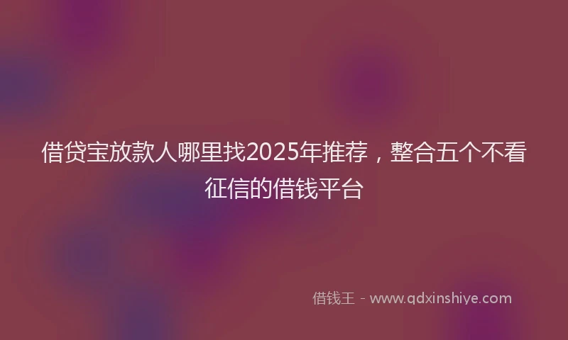 借贷宝放款人哪里找2025年推荐，整合五个不看征信的借钱平台