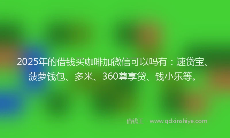 2025年的借钱买咖啡加微信可以吗有：速贷宝、菠萝钱包、多米、360尊享贷、钱小乐等。