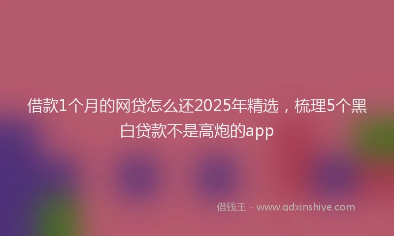 借款1个月的网贷怎么还2025年精选，梳理5个黑白贷款不是高炮的app